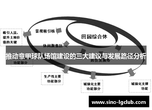 推动意甲球队场馆建设的三大建议与发展路径分析