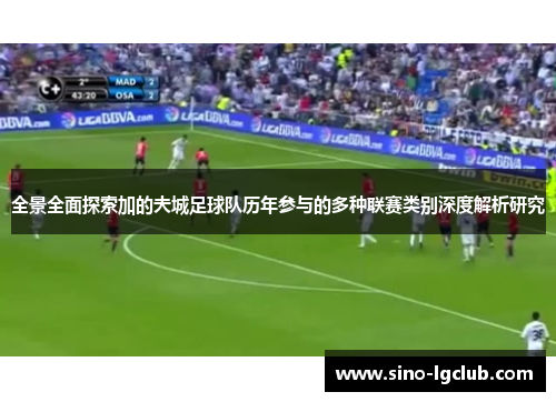 全景全面探索加的夫城足球队历年参与的多种联赛类别深度解析研究