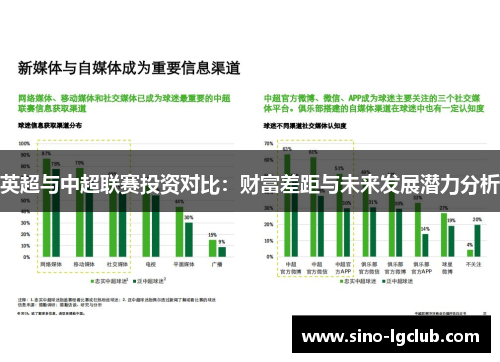 英超与中超联赛投资对比：财富差距与未来发展潜力分析