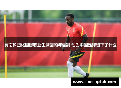 费南多归化国脚职业生涯回顾与告别 他为中国足球留下了什么