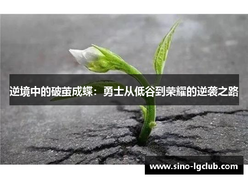 逆境中的破茧成蝶：勇士从低谷到荣耀的逆袭之路